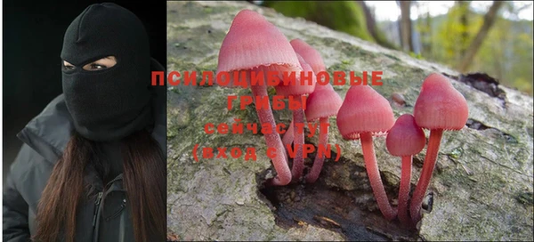 соль курить ск Абаза